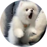 619's blog