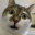 Kobayashi Blog