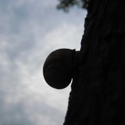 Aemon's Blog