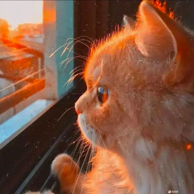 临渊羡鱼博客
