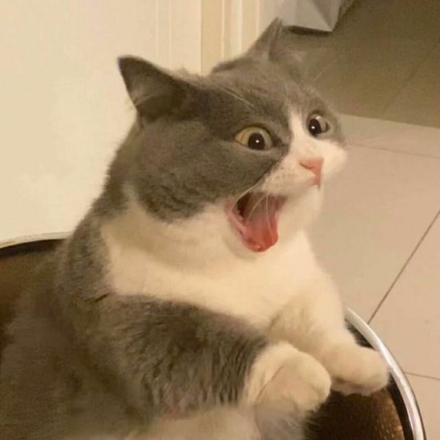 宁子博客
