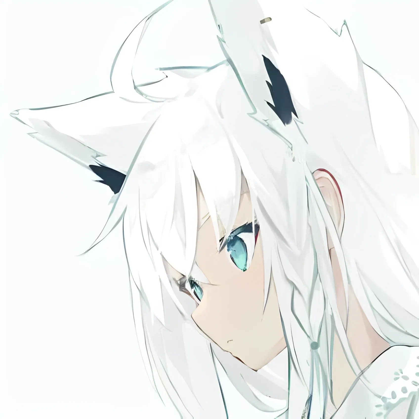 莫莫逗狗