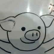 NgaiYeanCoi's blog