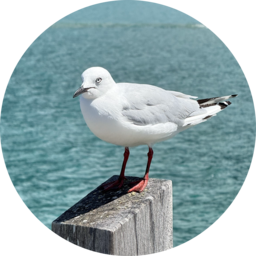 blog.stevenw.cc