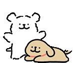 blog.tolinchan.xyz