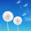 HZK's Blog
