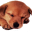 鹤立群