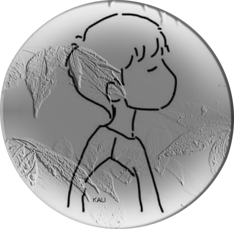 小张博客
