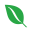 荒野菲克 - 荒野菲克