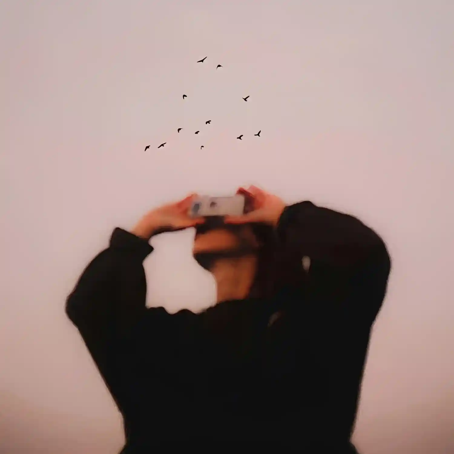 林深见语