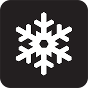 槐雪