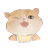 爱吃肉的猫