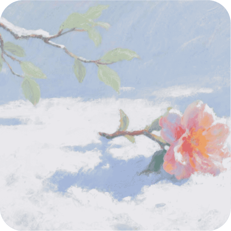 輕雪博客