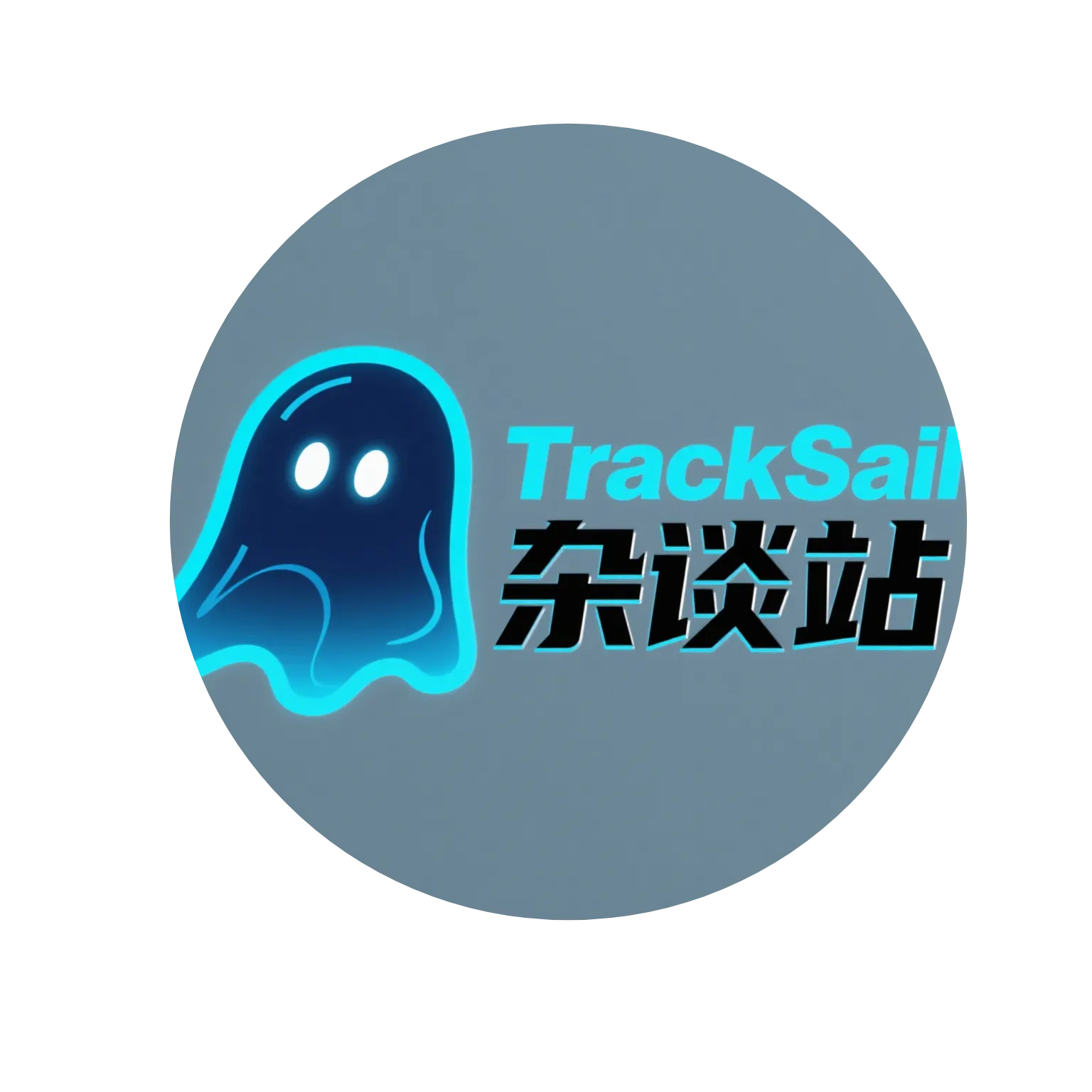 www.sailtrack.cn