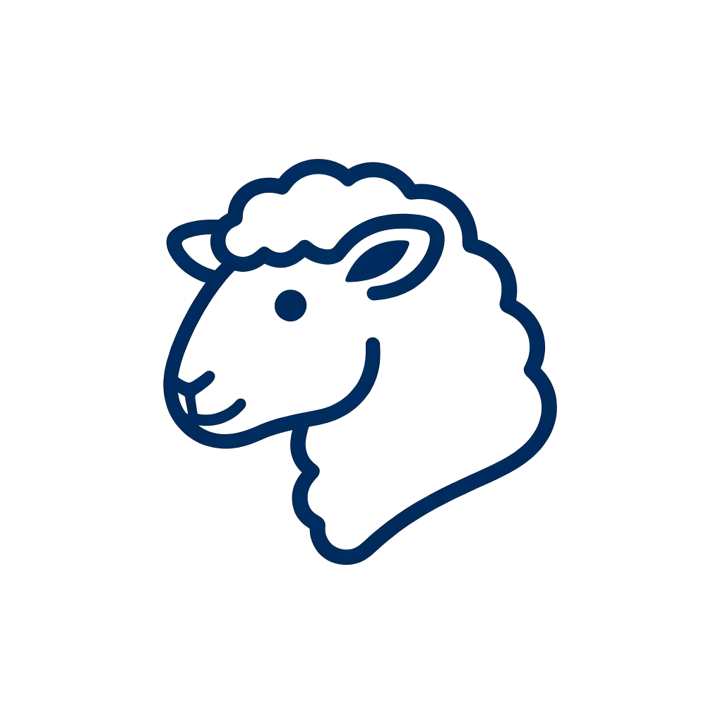 Sheep5的博客
