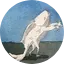 silverrainz.me