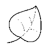 小枫叶