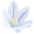windcoder
