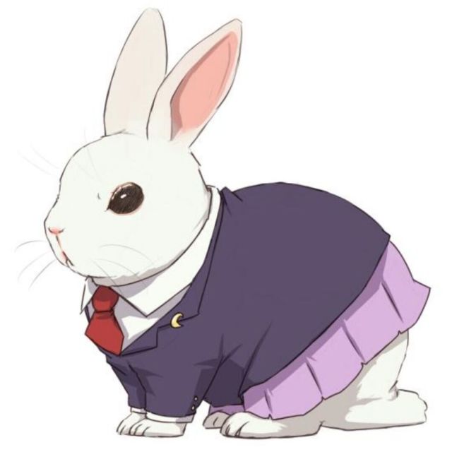 yokiusagi.top