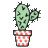 缘生笔记