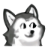 只抄